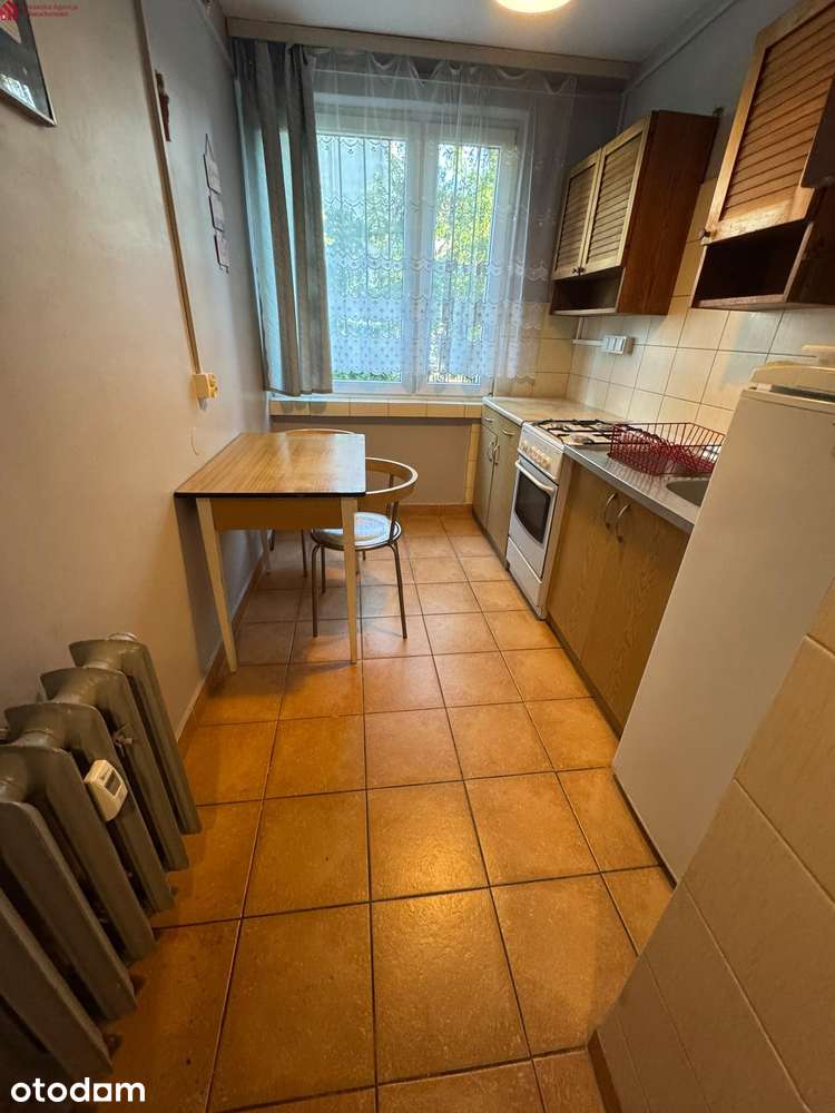 2 pokoje osobna kuchnia widok na zieleń