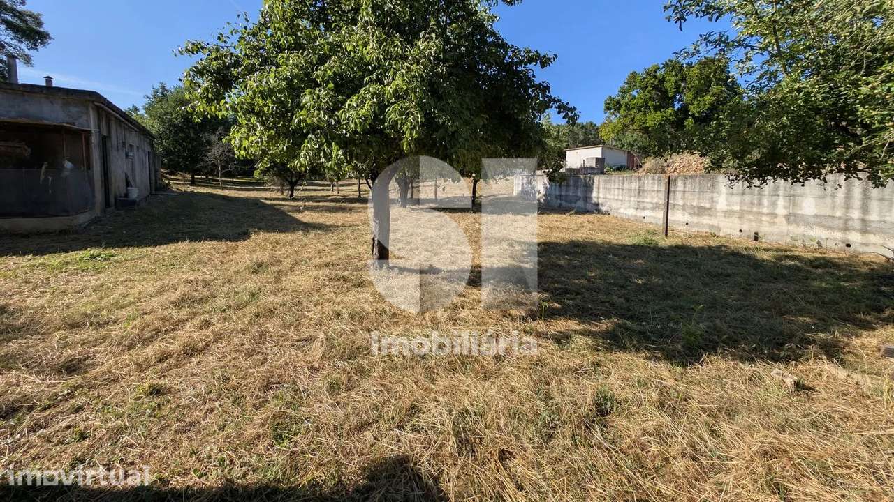 Terreno a ser transformado em Quinta - Grande imagem: 5/11