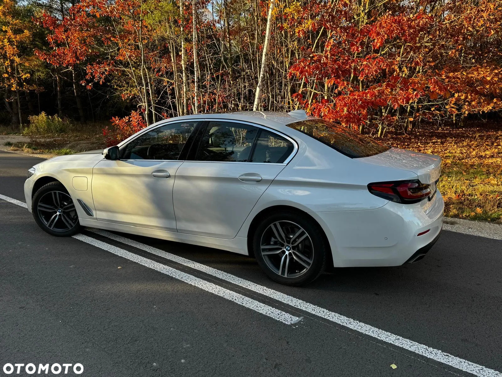 BMW Seria 5 ver-530e-luxury-line-sport - 13