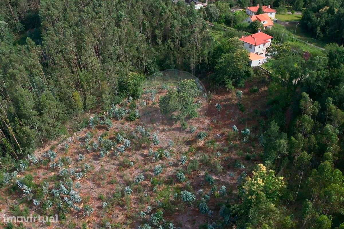 Terreno  para venda - Grande imagem: 2/21