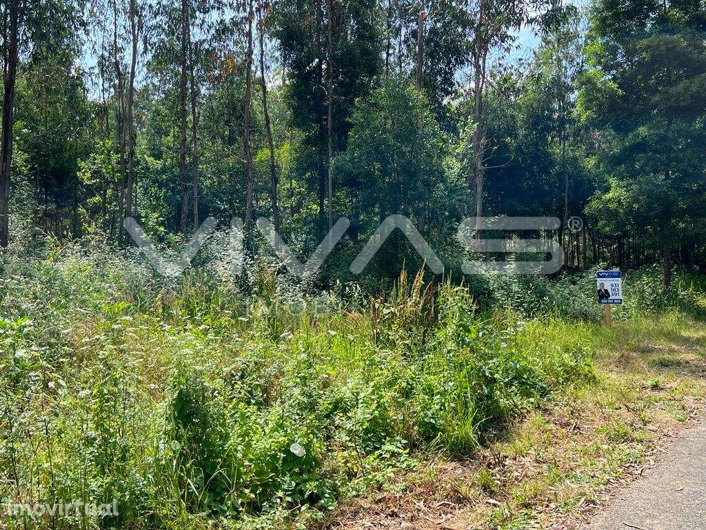 Terreno Urbano  Venda em Marrancos e Arcozelo,Vila Verde - Grande imagem: 3/7