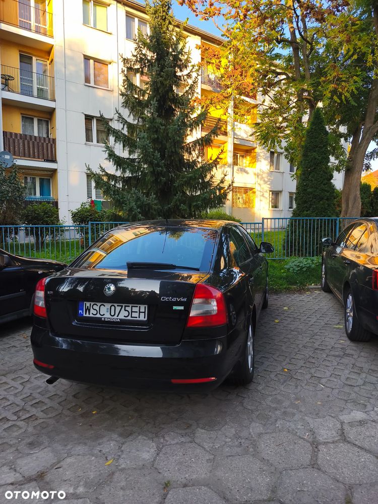 Skoda Octavia - 8