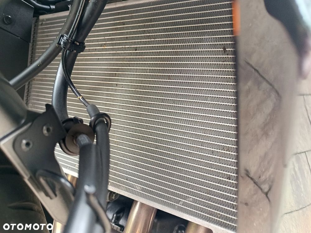 Kawasaki Ninja 1000 SX - 21