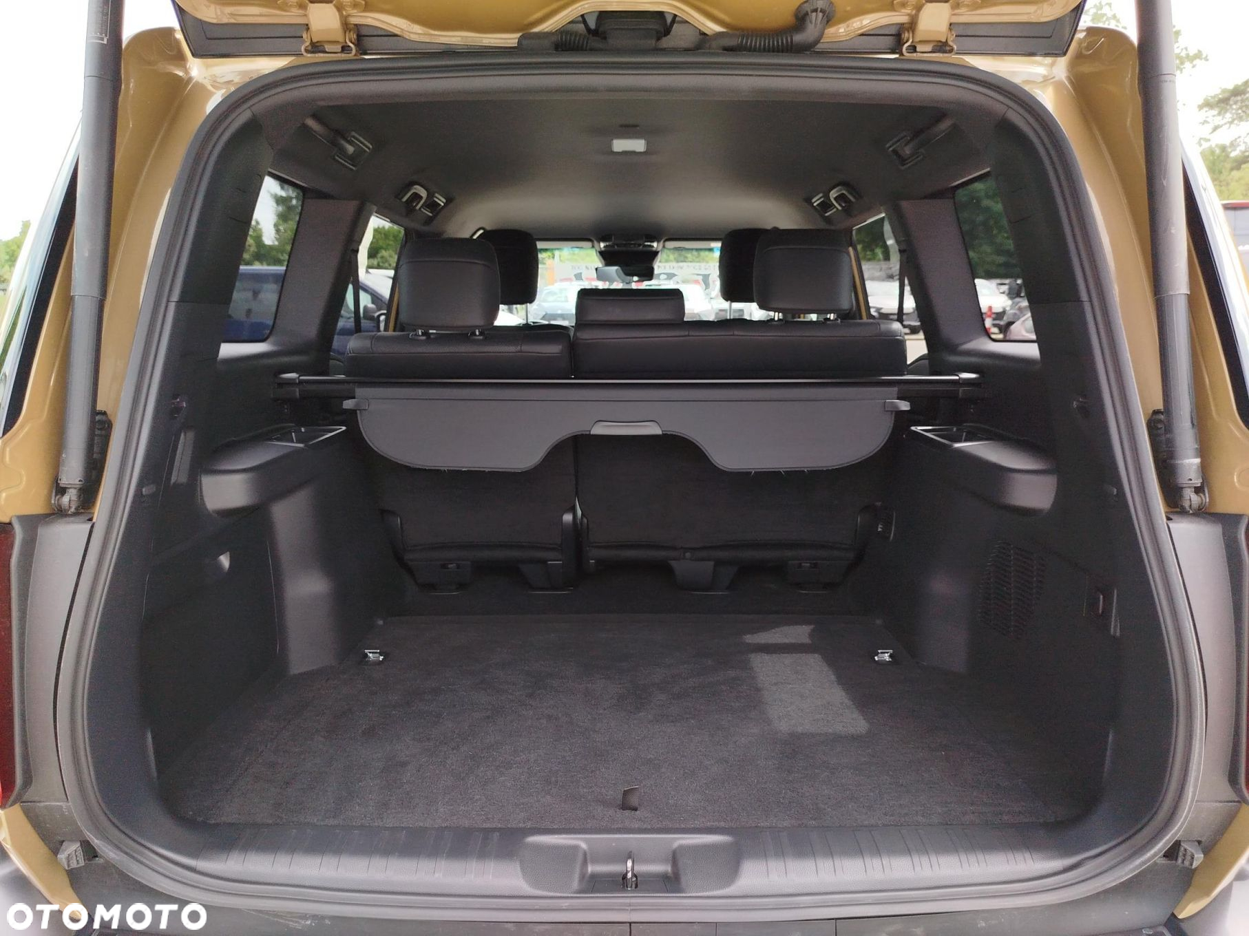 Toyota Land Cruiser - 18