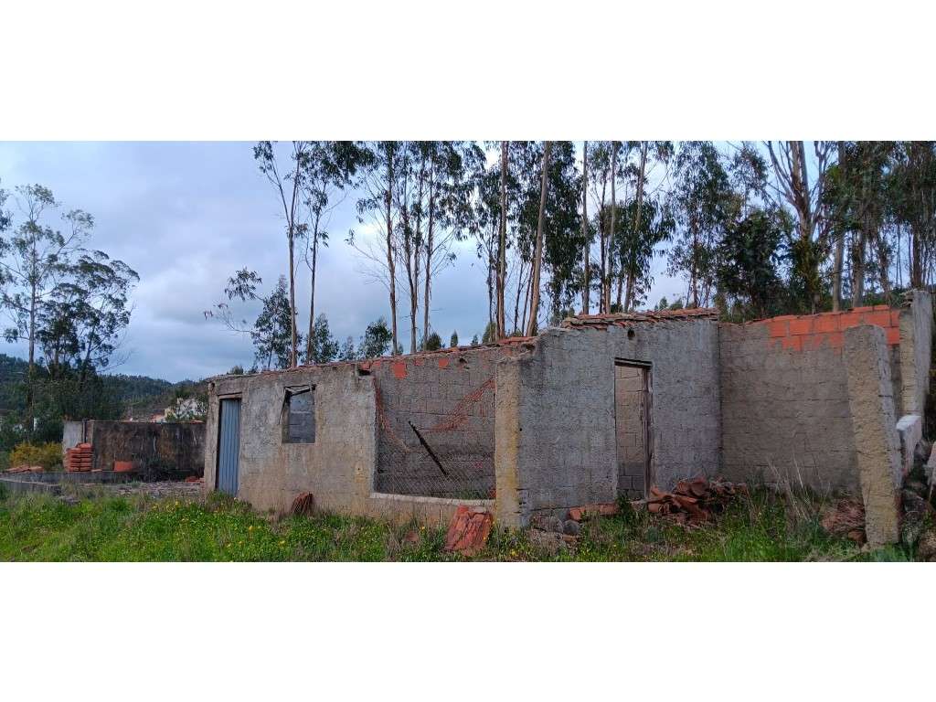 Terreno Rústico com Construção Rural, Poço e Oliveiras em Carreguei... - Grande imagem: 2/9