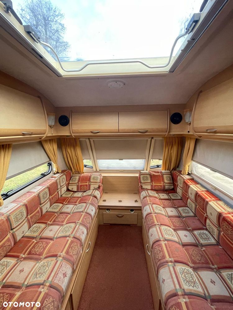 Coachman Amara - 20