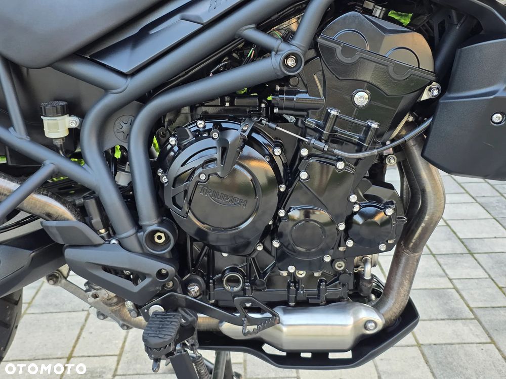 Triumph Tiger - 8