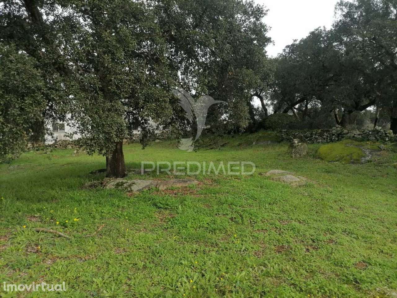 terreno para construir - Grande imagem: 3/7