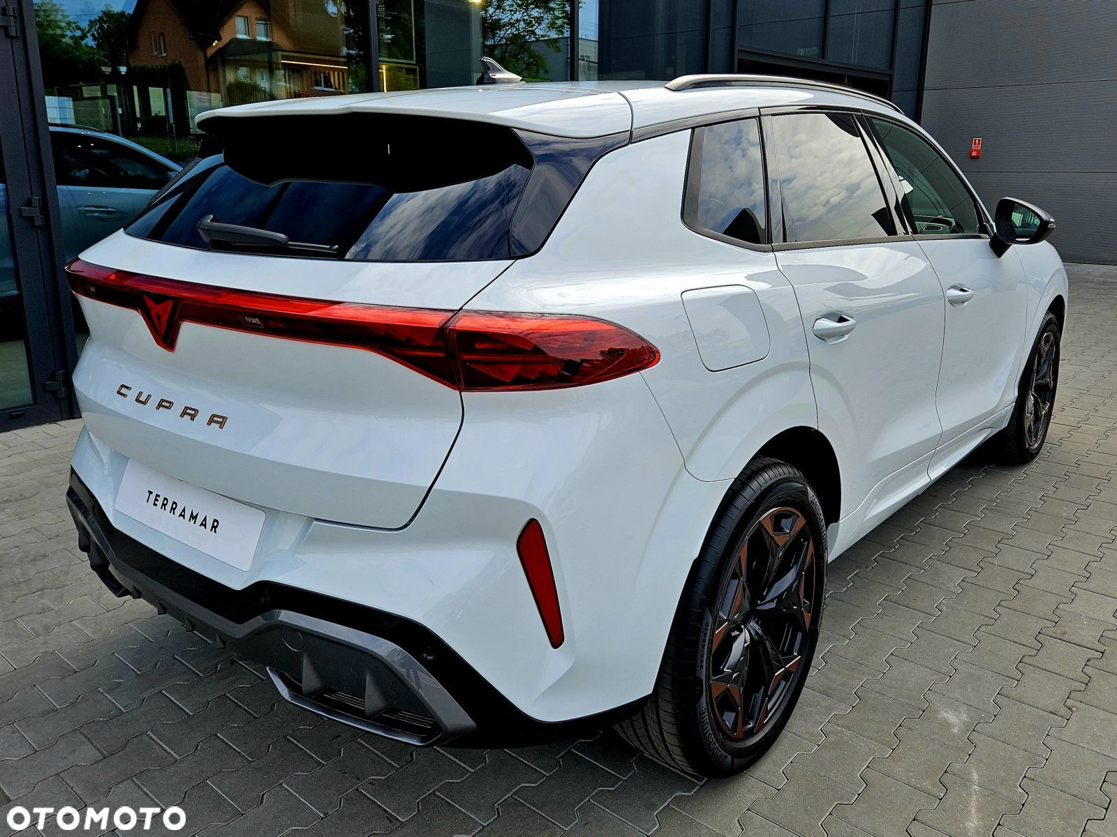 Cupra Terramar - 3