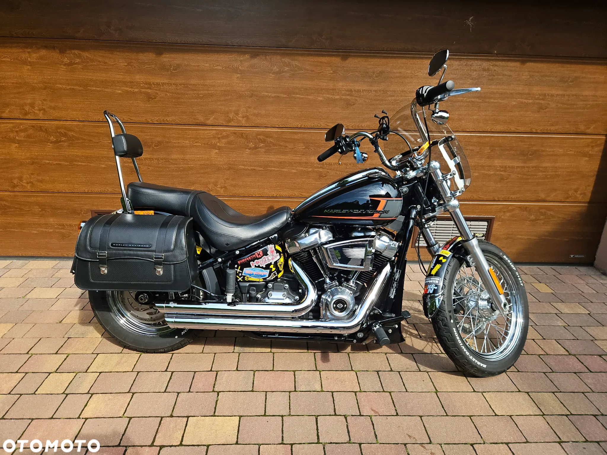 Harley-Davidson Softail Standard - 9