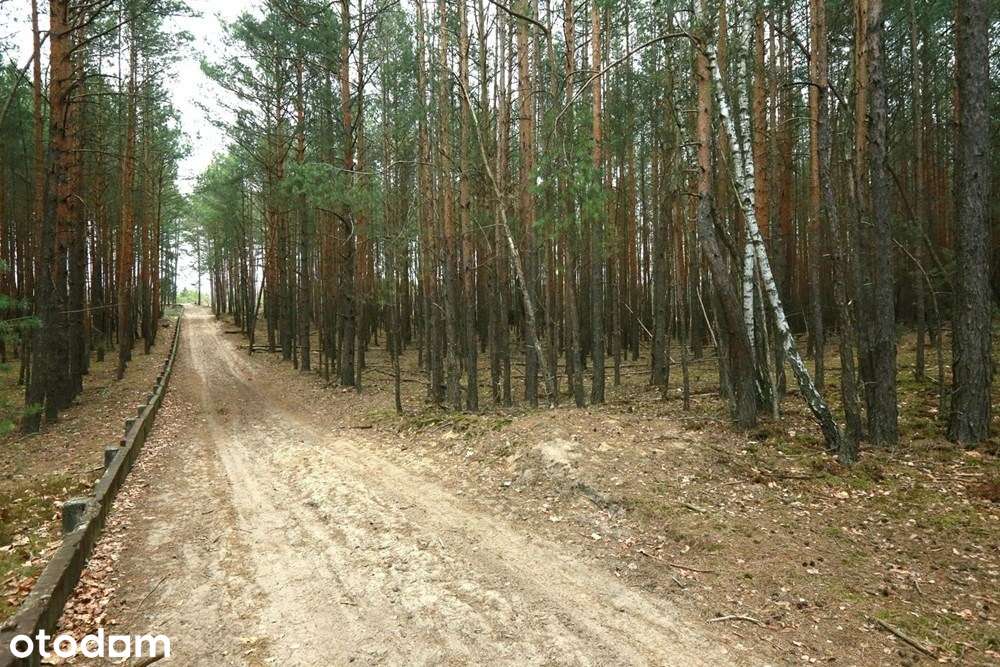 Działka inwestycyjna - Pełny obrazek: 3/3