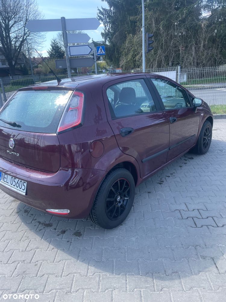 Fiat Punto 1.2 Young - 3