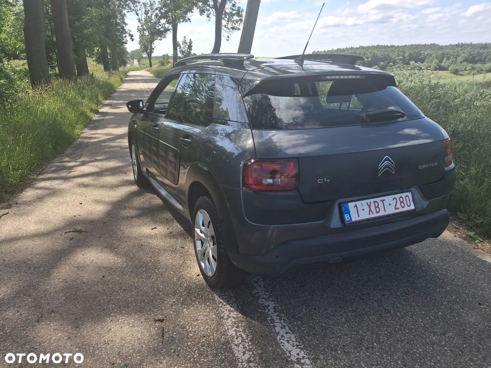 Citroën C4 Cactus PureTech 82 Business Class - 10