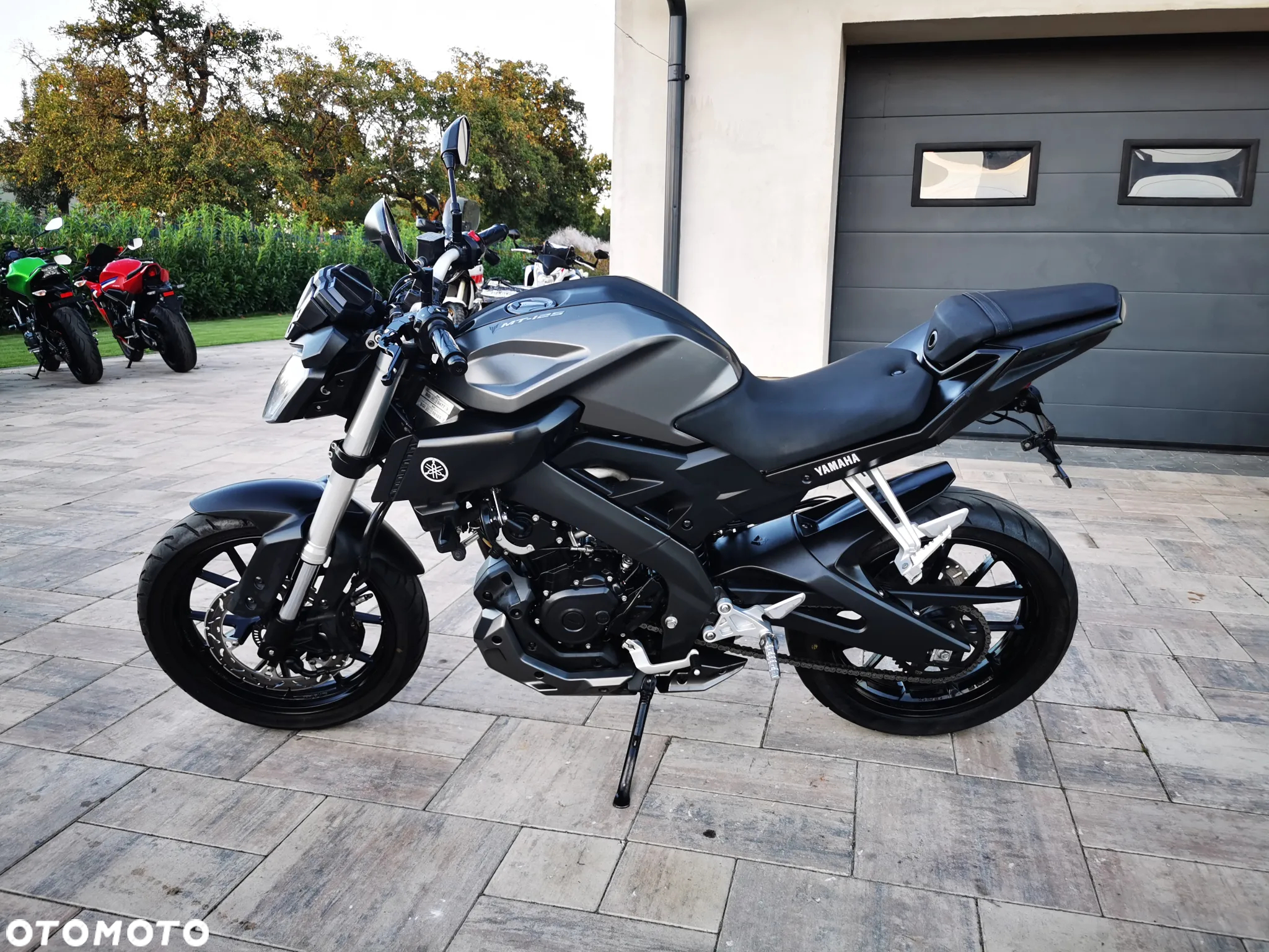 Yamaha MT - 6