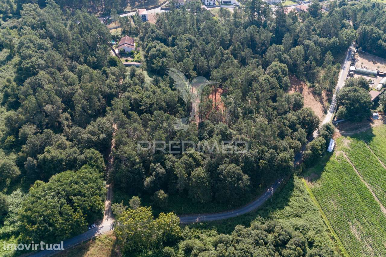 Terreno - Grande imagem: 2/11