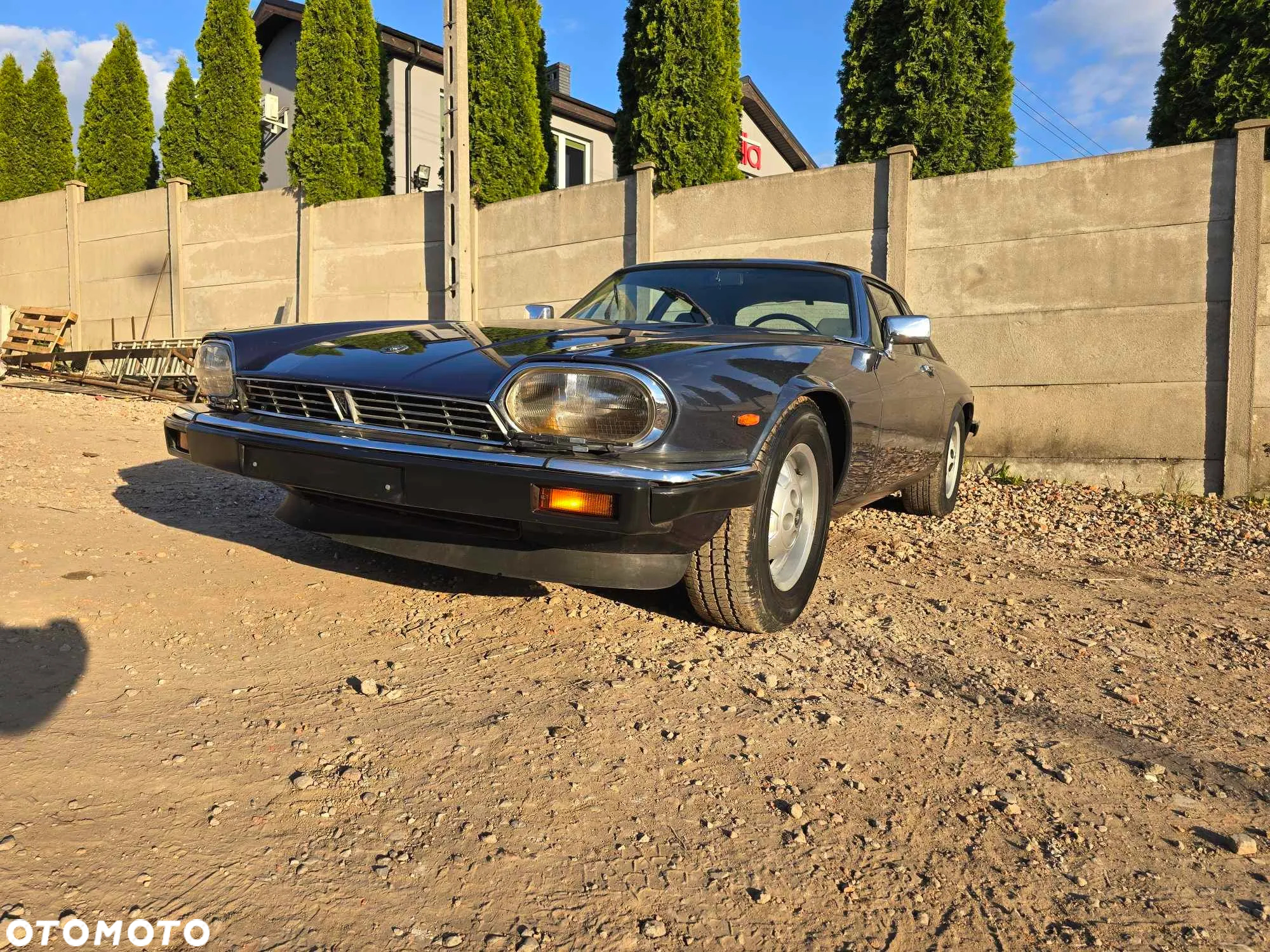 Jaguar XJS - 3