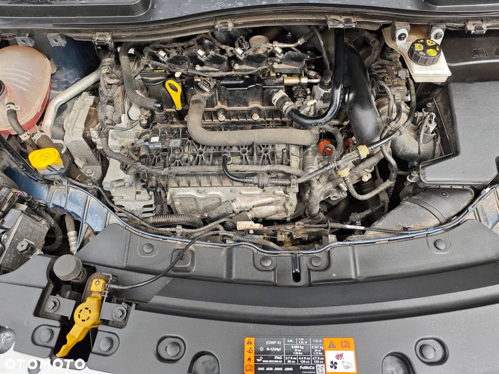 Ford Kuga 1.5 EcoBoost FWD Titanium - 13
