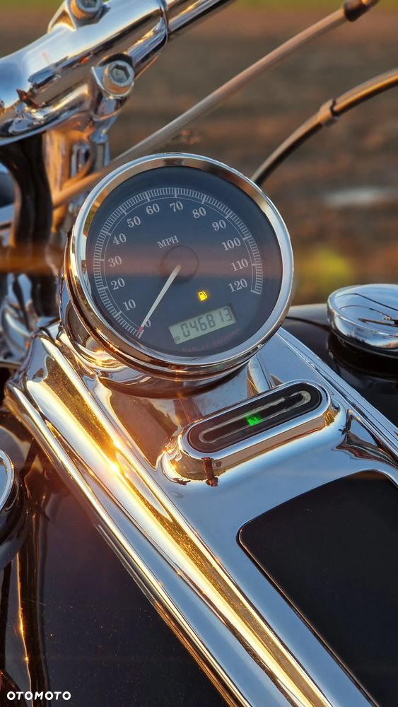 Harley-Davidson Softail - 13