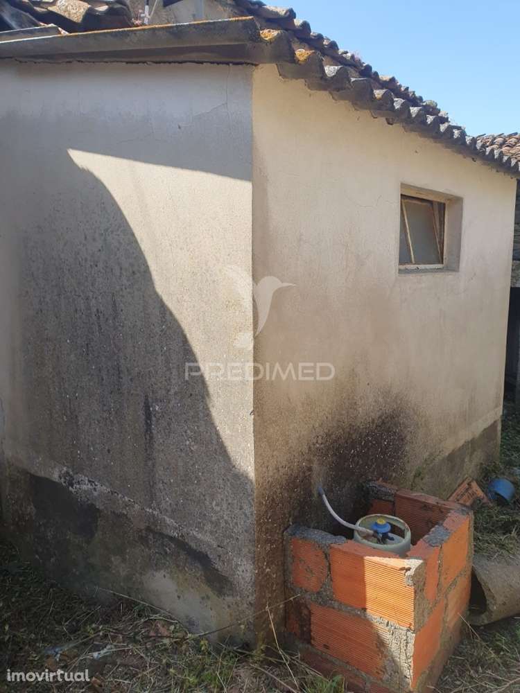 Moradia  em Ruínas, em Barcos , Tabuaço - Grande imagem: 4/13