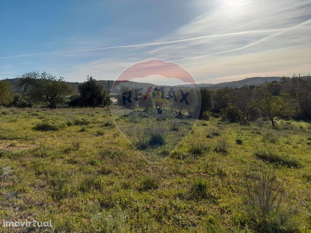 Terreno  para venda - Grande imagem: 5/6