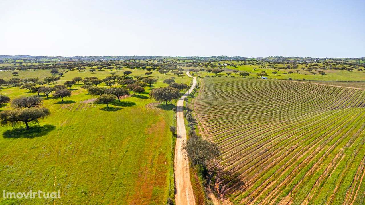 Terreno  para venda - Grande imagem: 2/50