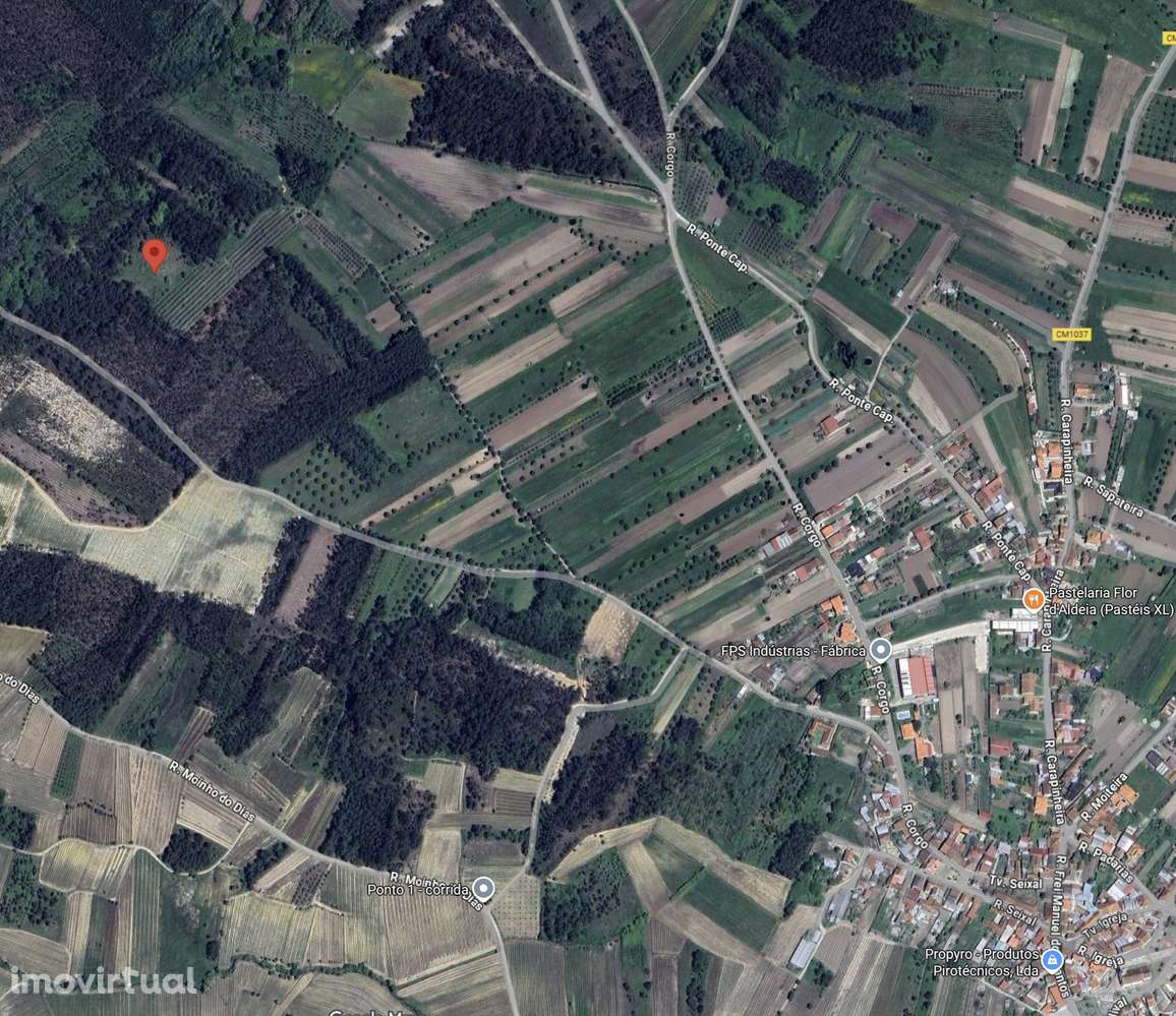 Terreno com vinha para venda - Grande imagem: 2/4