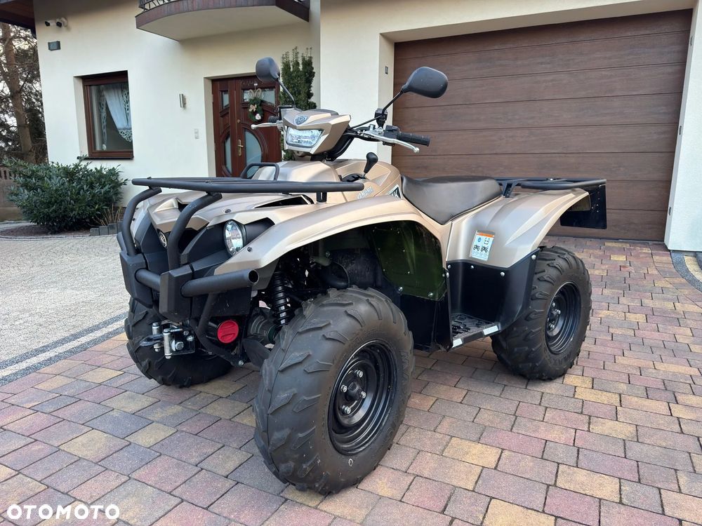 Yamaha Kodiak - 1