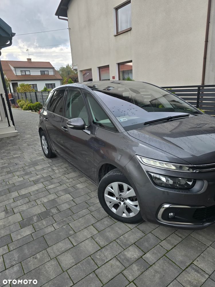 Citroën C4 1.2 PureTech MoreLife S&S - 2