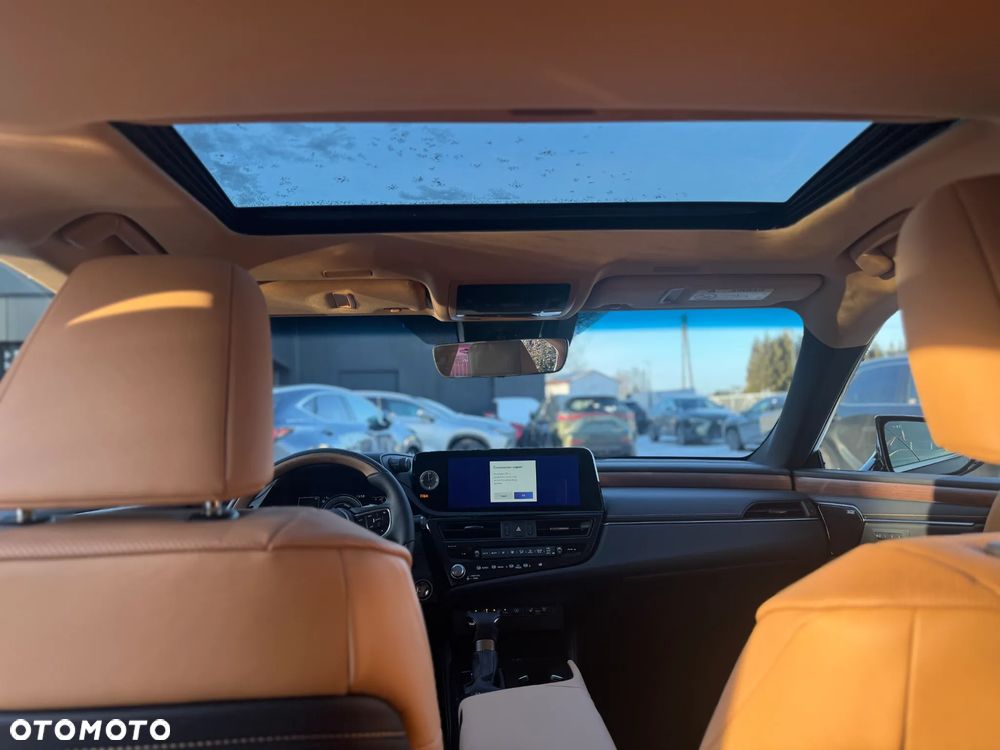 Lexus ES 300h Omotenashi - 14