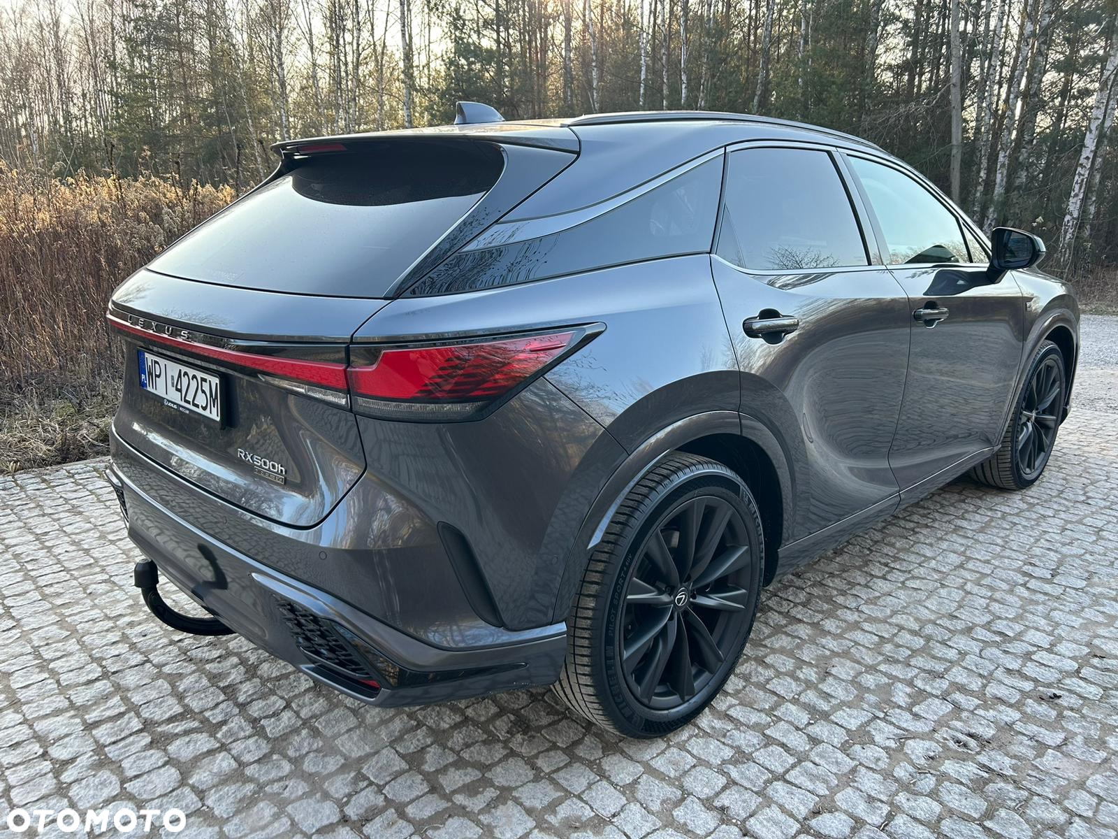 Lexus RX 500h F Sport - 6