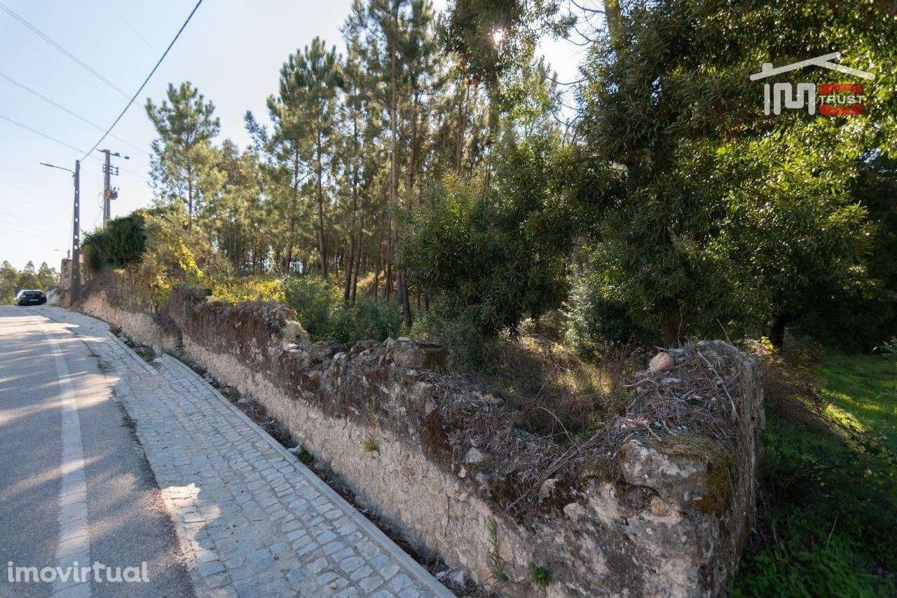 Terreno com possibilidade de construção - Grande imagem: 4/7