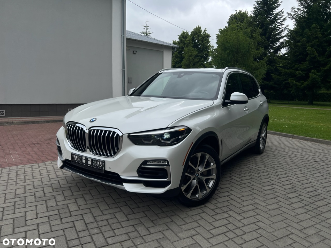 BMW X5 xDrive40i xLine - 30