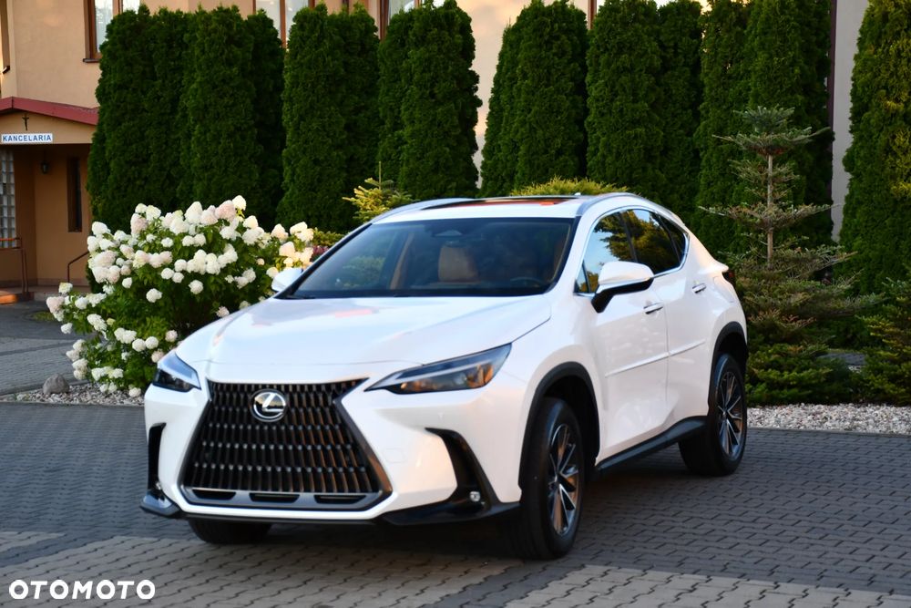 Lexus NX - 24