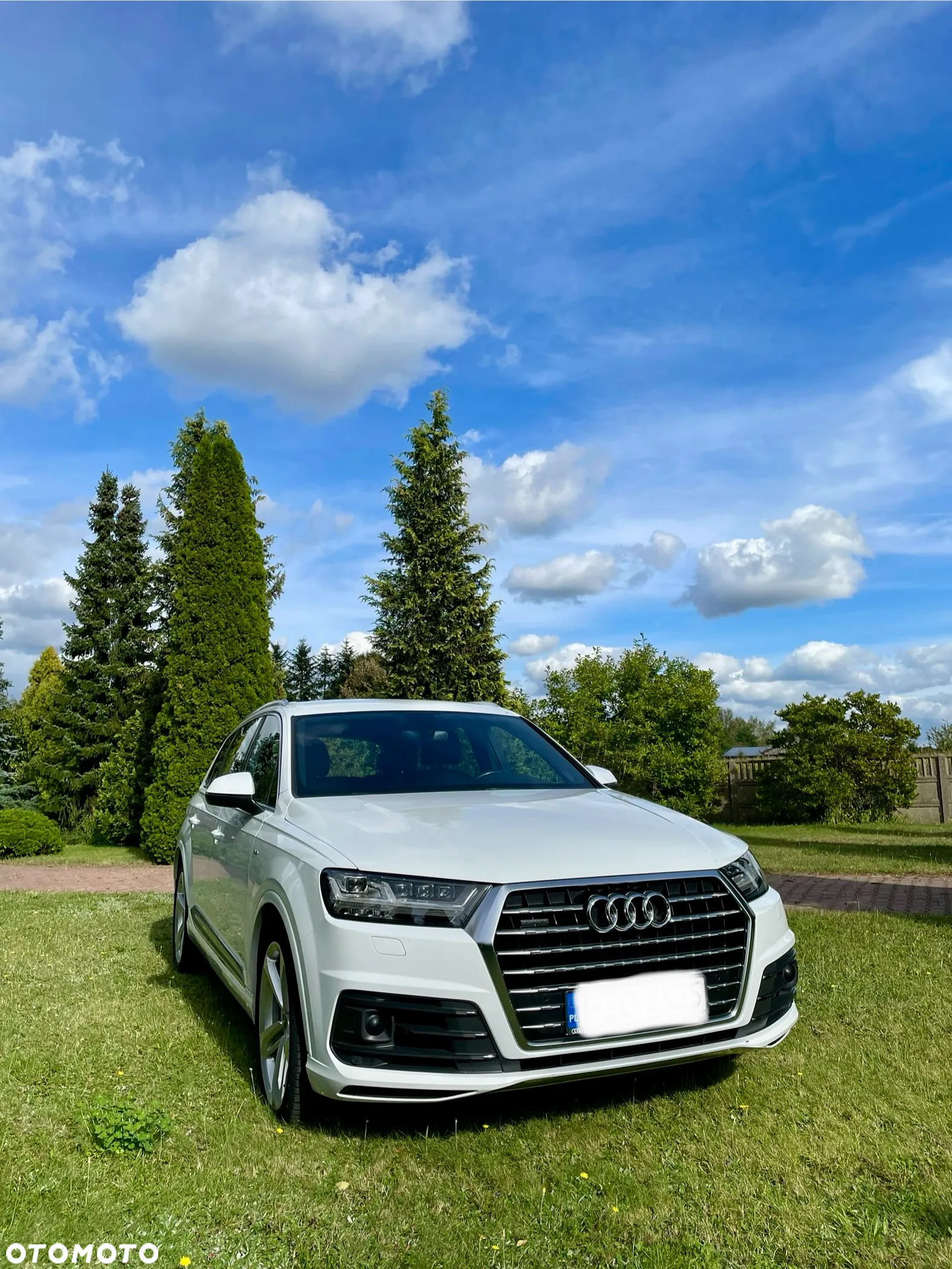 Audi Q7 3.0 TDI Quattro Tiptronic - 2