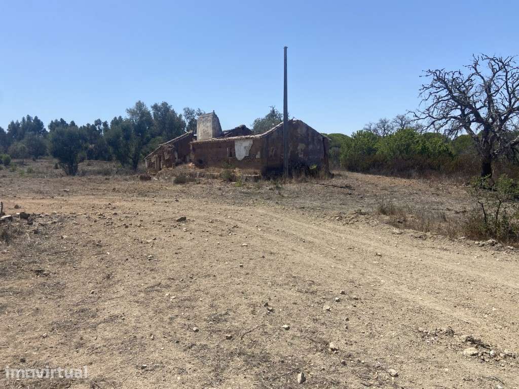 Terreno com projecto de arquitectura aprovado em Melides - Grande imagem: 4/17