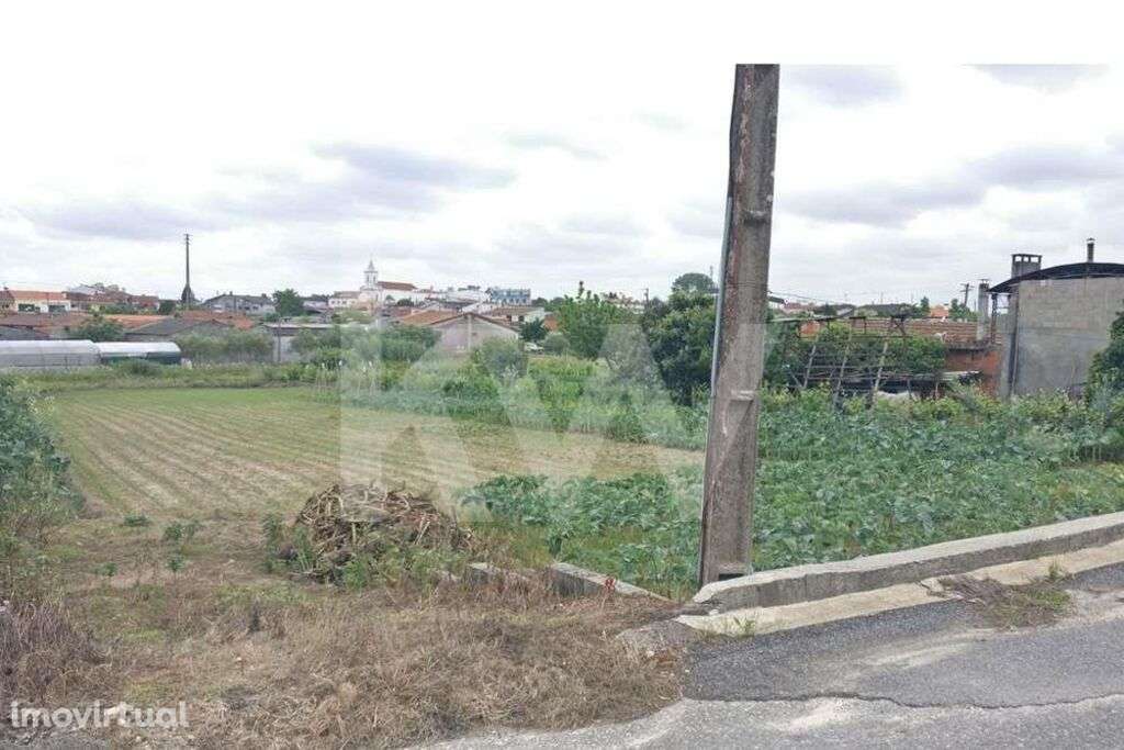 Lote de Terreno para construção, localizado a escassos metros da Patei - Grande imagem: 3/11