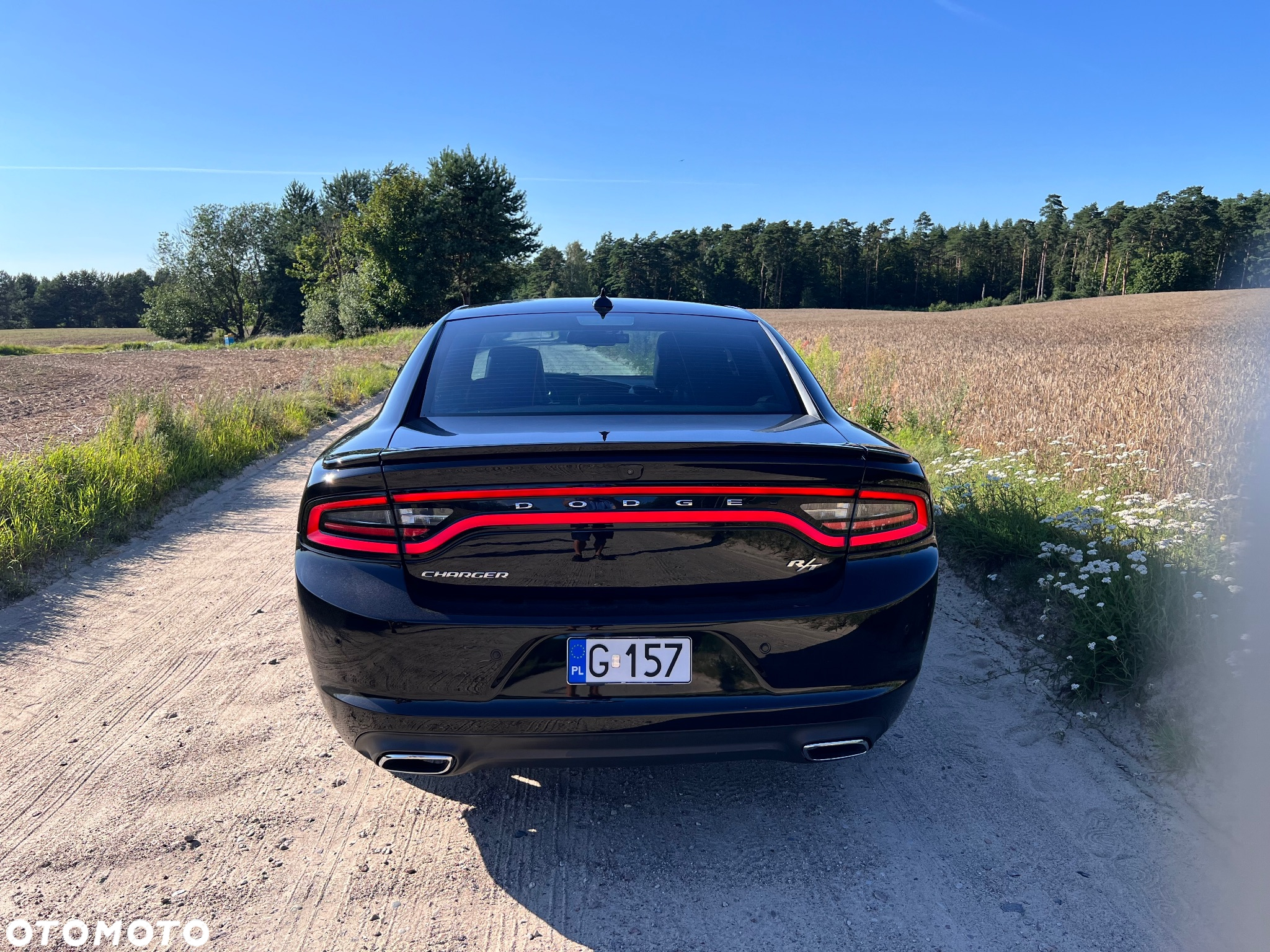 Dodge Charger - 2