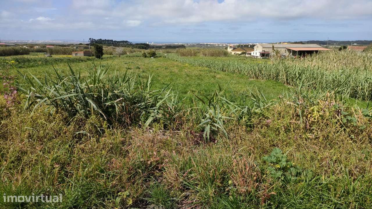 Terreno para construção com 2.108m2 - Peniche - Grande imagem: 2/14