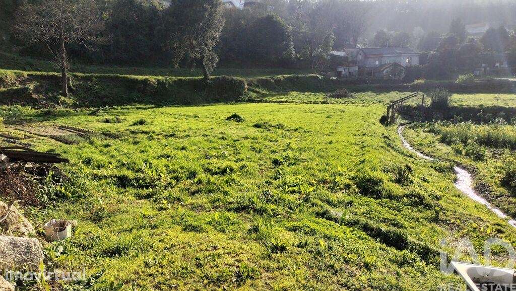 Terreno Agrícola em Fonte Arcada - Grande imagem: 4/40