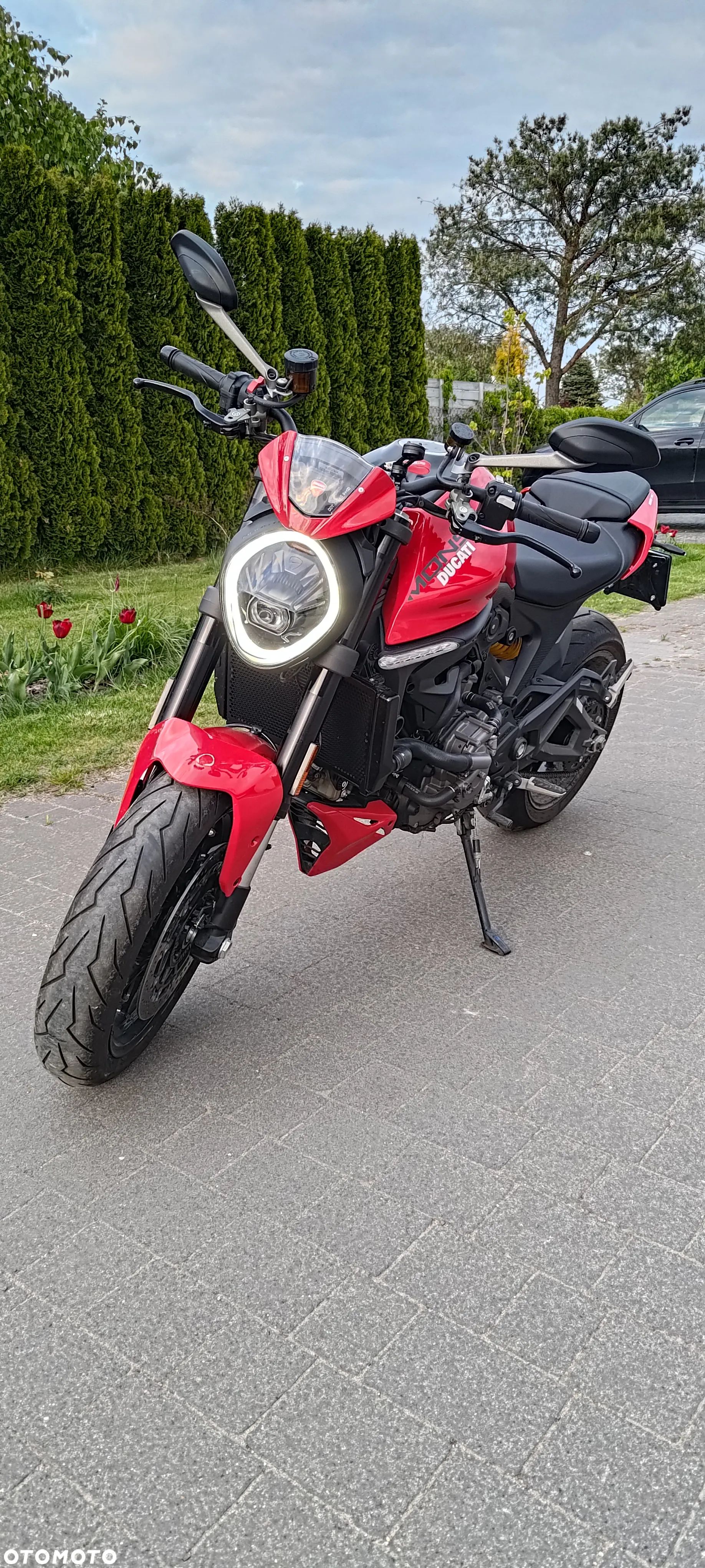 Ducati Monster - 1