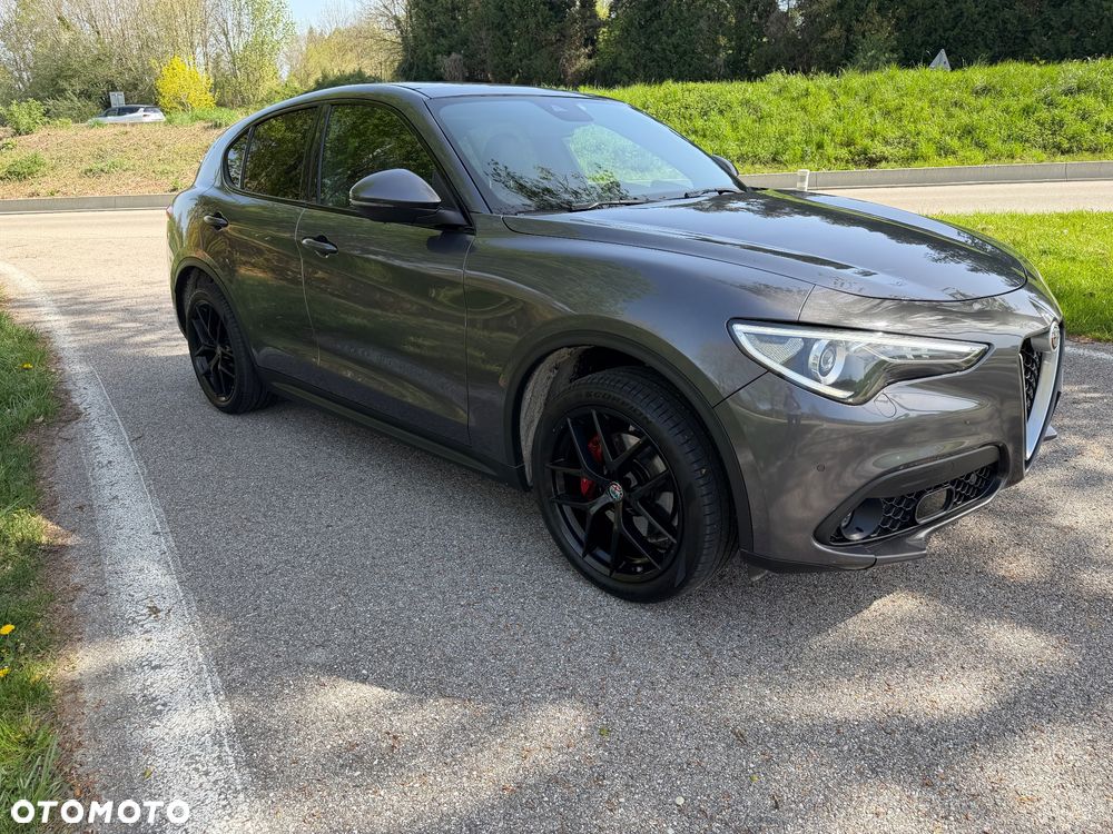 Alfa Romeo Stelvio 2.2 16V AT8 Q4 Ti - 2
