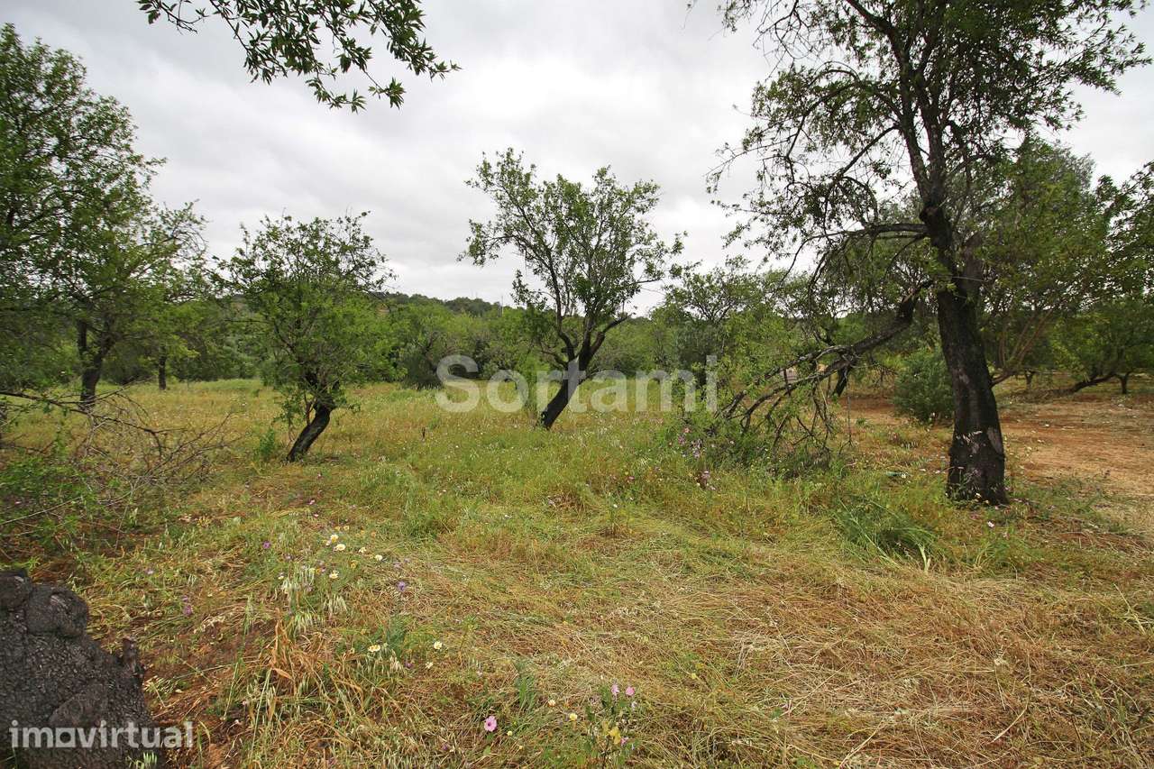 Terreno Para Construção  Venda em Conceição e Estoi,Faro - Grande imagem: 2/4