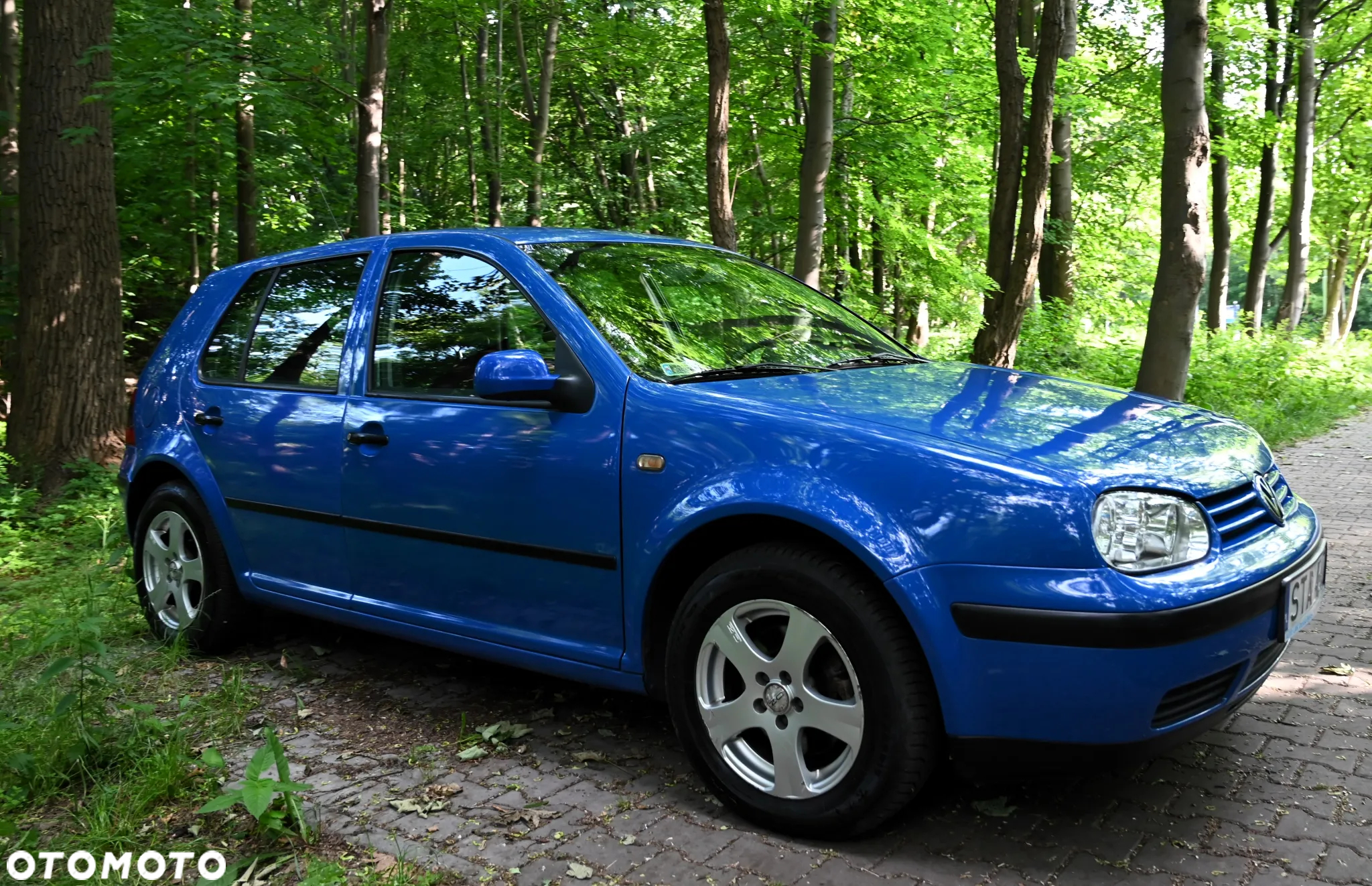 Volkswagen Golf - 8