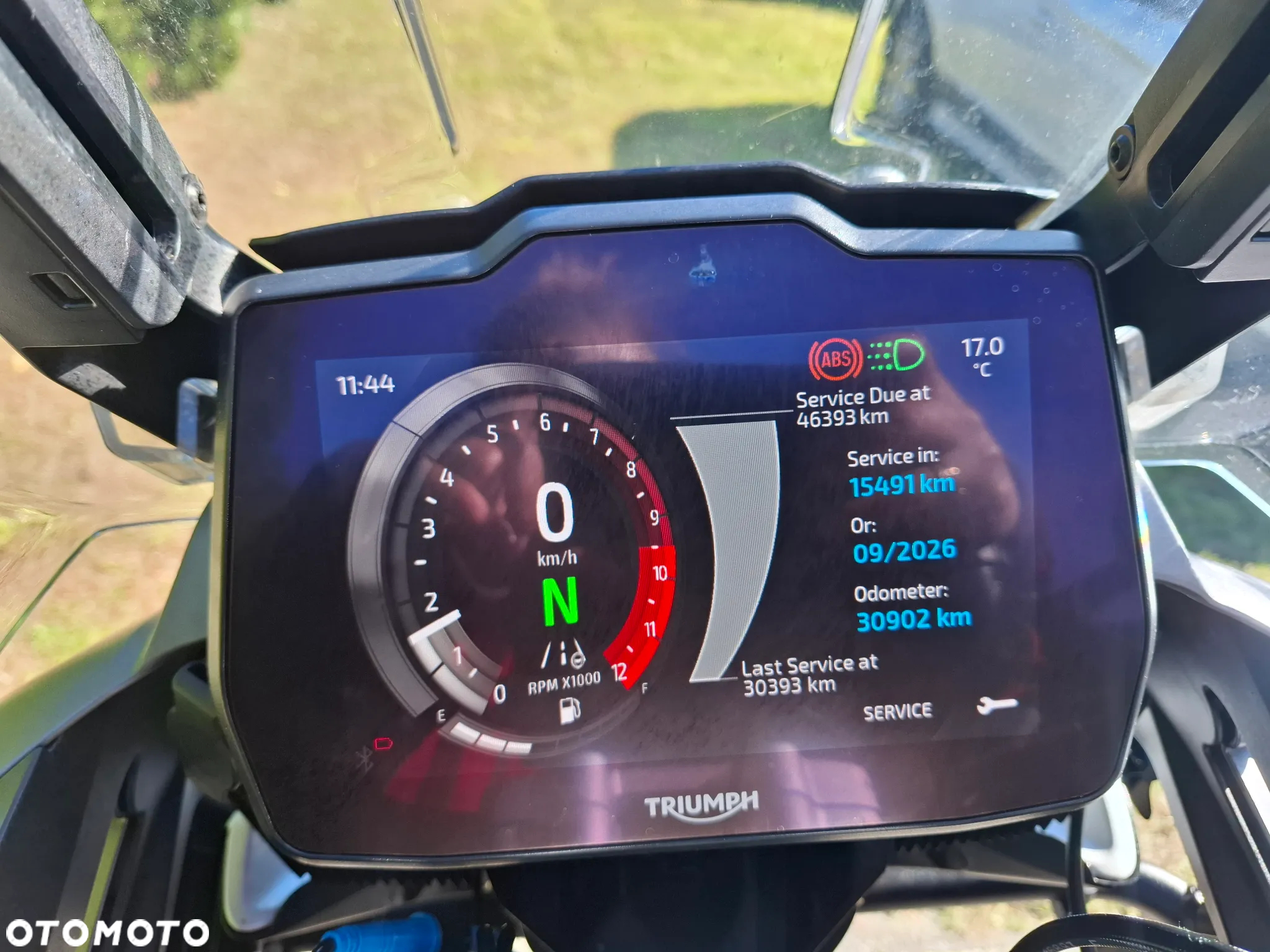 Triumph Tiger - 8