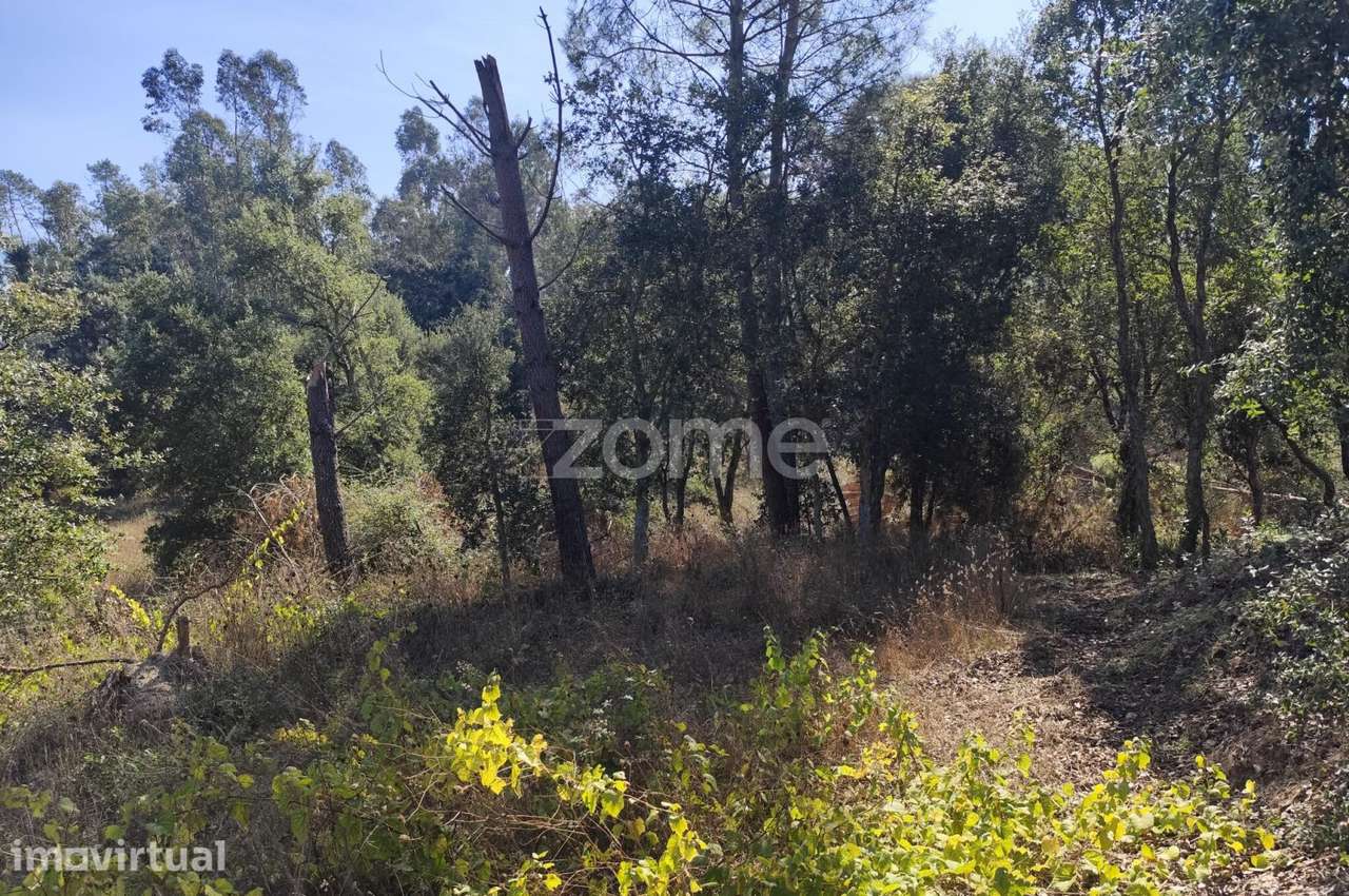 Terreno com cerca de 5.000 metros a 10 min. da Batalha - Grande imagem: 5/27