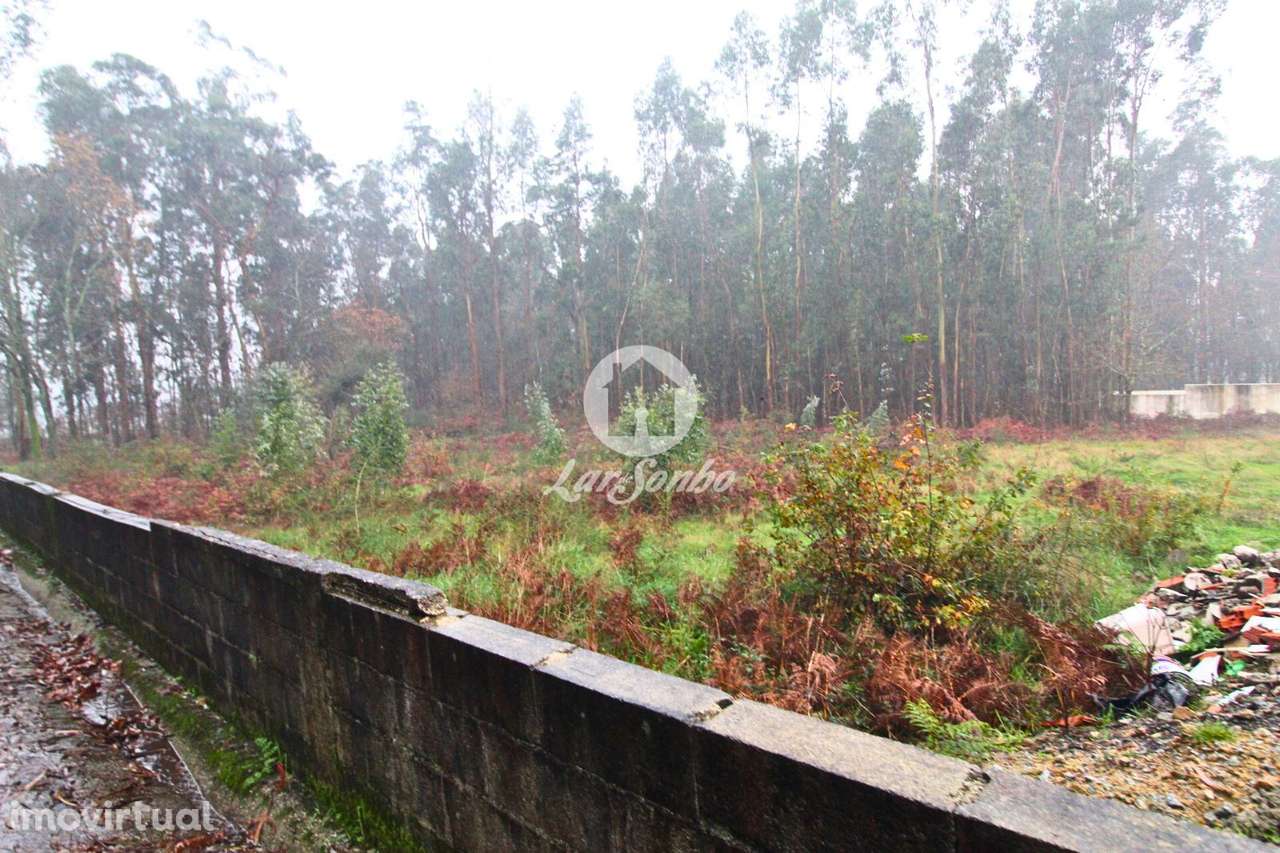 Terreno para Construção de moradias - Grande imagem: 5/24