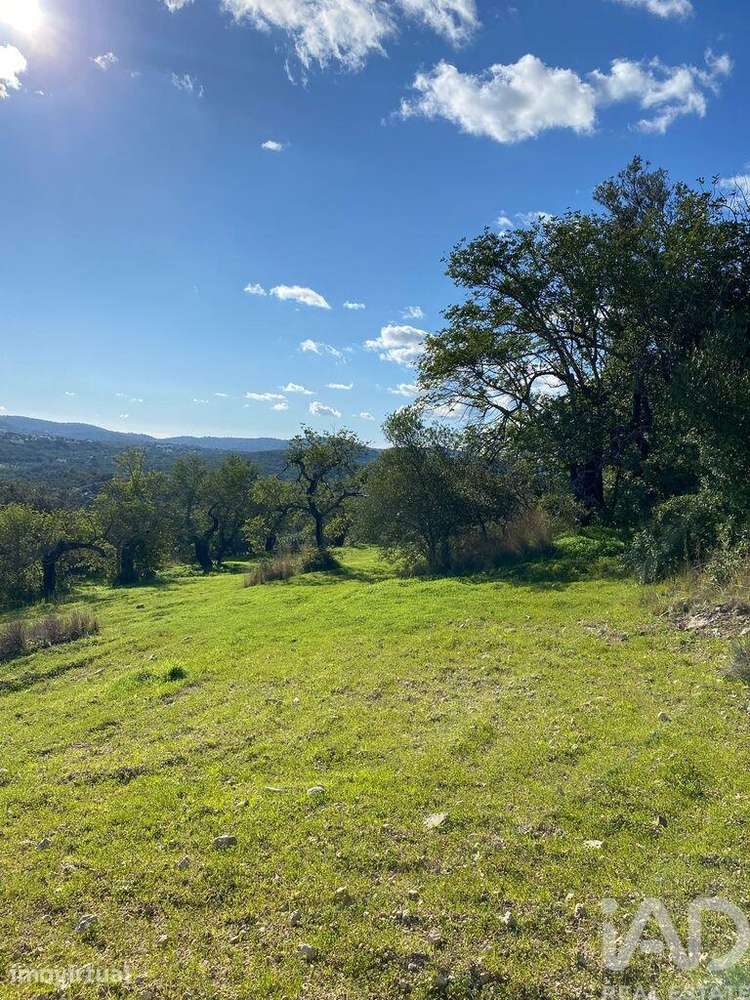 Terreno Agrícola em São Brás de Alportel de 7280,00 m2 - Grande imagem: 4/10