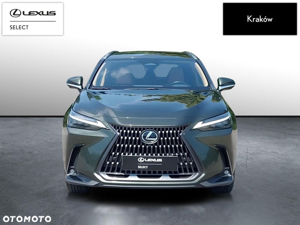 Lexus NX - 8
