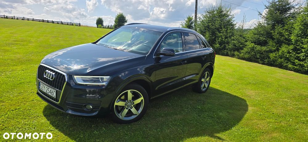 Audi Q3 - 19