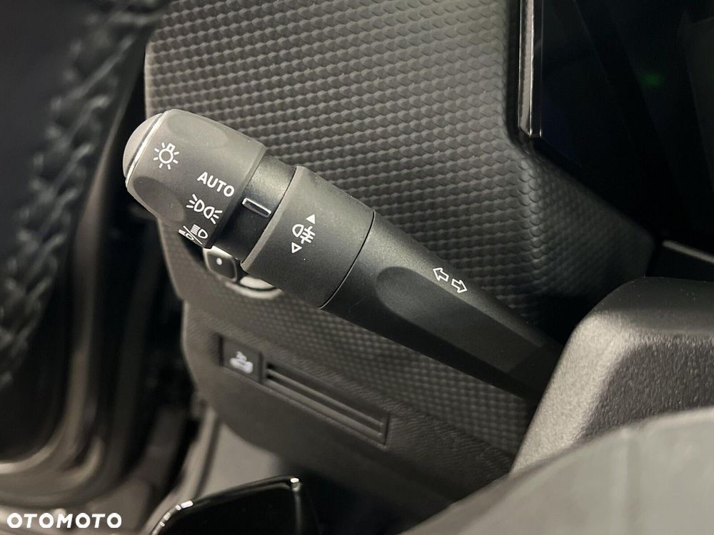 DS Automobiles DS 4 - 13